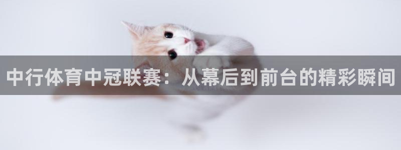 中行体育中冠联赛：从幕后到前台的精彩瞬间