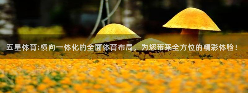 五星体育:横向一体化的全面体育布局，为您带来全方位的精彩体验！