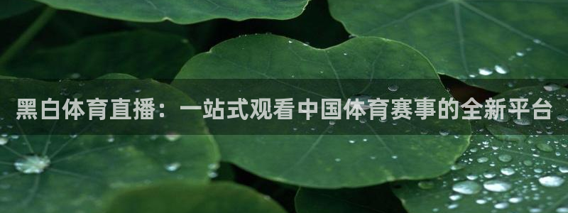 黑白体育直播：一站式观看中国体育赛事的全新平台