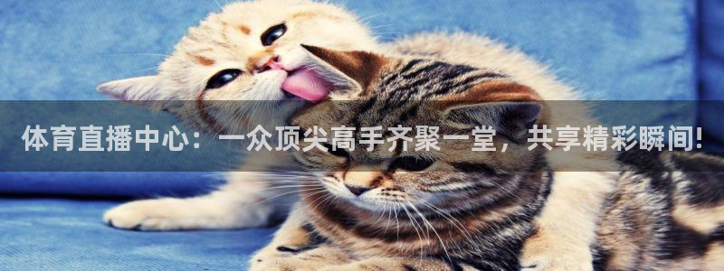 体育直播中心：一众顶尖高手齐聚一堂，共享精彩瞬间!