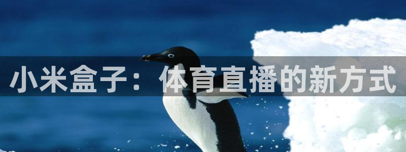 小米盒子：体育直播的新方式