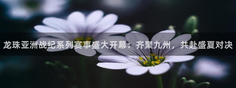龙珠亚洲战纪系列赛事盛大开幕：齐聚九州，共赴盛夏对决
