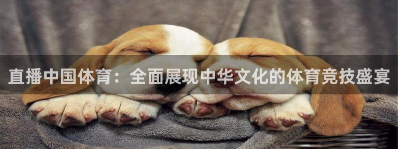 直播中国体育：全面展现中华文化的体育竞技盛宴