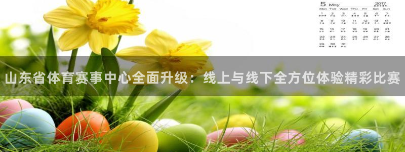 山东省体育赛事中心全面升级：线上与线下全方位体验精彩比赛
