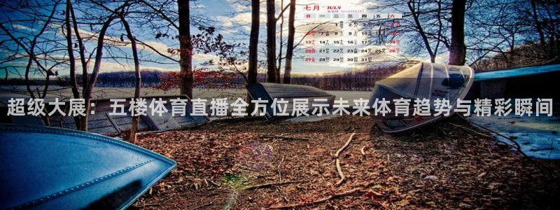 超级大展：五楼体育直播全方位展示未来体育趋势与精彩瞬间