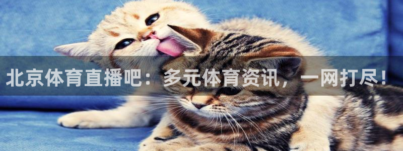北京体育直播吧：多元体育资讯，一网打尽！