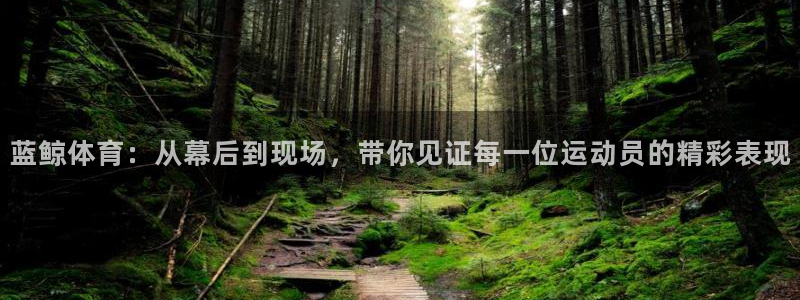 蓝鲸体育：从幕后到现场，带你见证每一位运动员的精彩表现