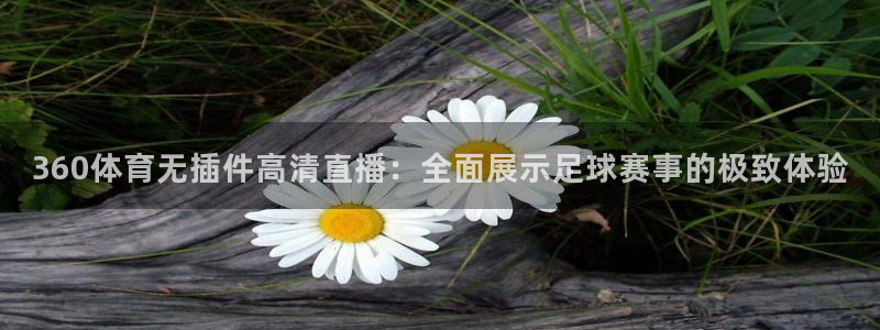 360体育无插件高清直播：全面展示足球赛事的极致体验